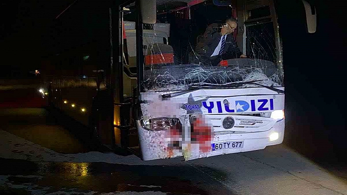 Yola çıkan ata otobüs çarptı