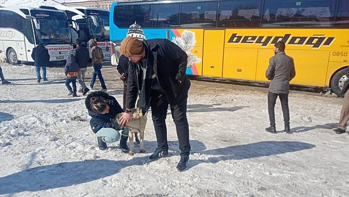 Köpek besleyerek zaman geçiriyor