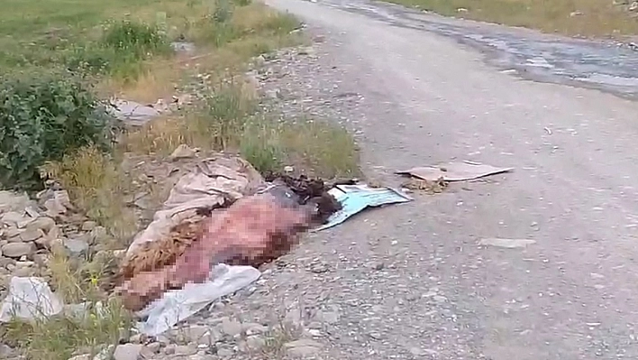 Yüksekova'da sakatatların yol kenarına atılmasına tepki