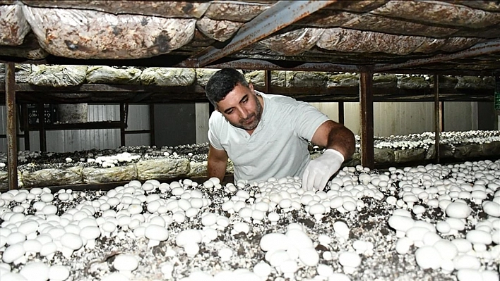 Yüzde 50 hibe ile 12 odalı tesis kurdu, 150 kişiye iş kapısı açtı