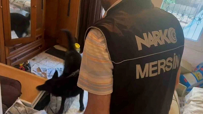 Zehir taciri kilolarca uyuşturucuyla yakalandılar