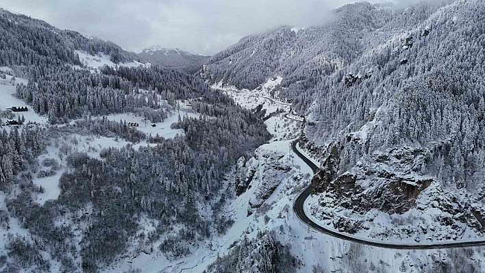 Zigana Dağı'ndan kar manzaraları