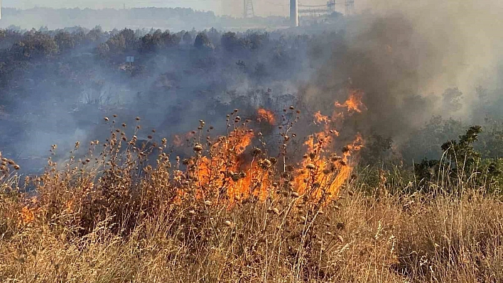 Ziraat odasından 'anız yangını' uyarısı