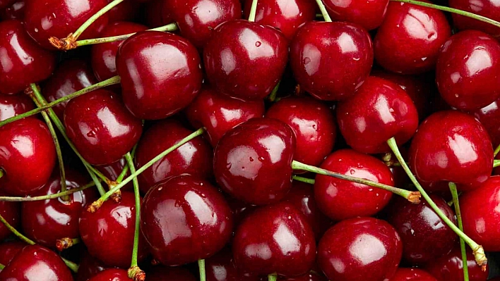 Zirai don kirazı vurdu, 61 bin ton ihracat kaybı yaşandı