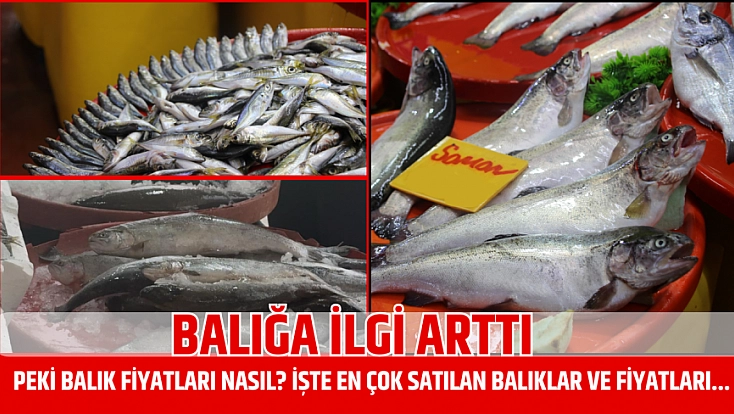 Balığa ilgi arttı: Peki balık fiyatları nasıl? İşte en çok satılan balıklar ve fiyatları...