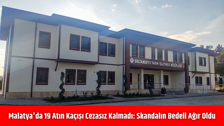 Malatya'da 19 atın kaçışı cezasız kalmadı: Skandalın bedeli ağır oldu