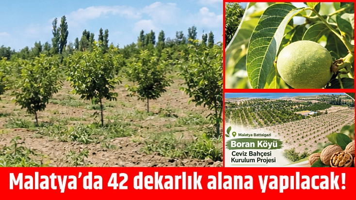 Malatya’da 42 dekarlık proje! Üretime katkı sağlayacak