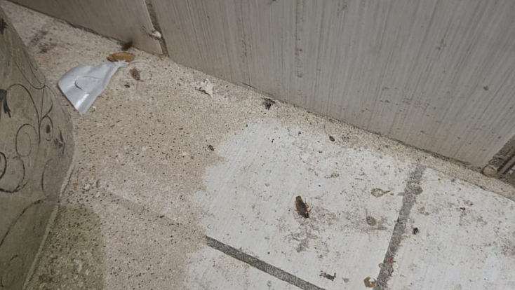 Malatya'da fırına haşere ve kükürt iddiası: Zabıta harekete geçti