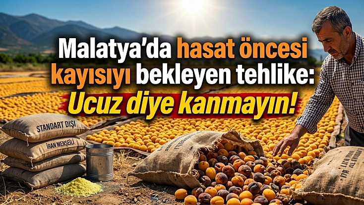 Malatya’da hasat öncesi kayısıyı bekleyen tehlike: Ucuz diye kanmayın!