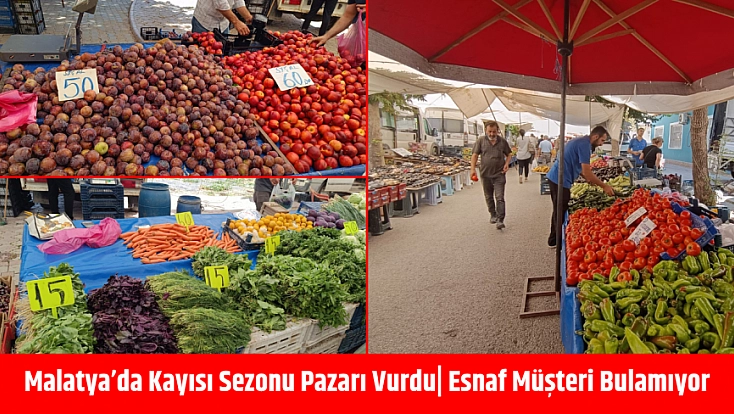 Malatya'da kayısı sezonu pazarı vurdu| Esnaf müşteri bulamıyor