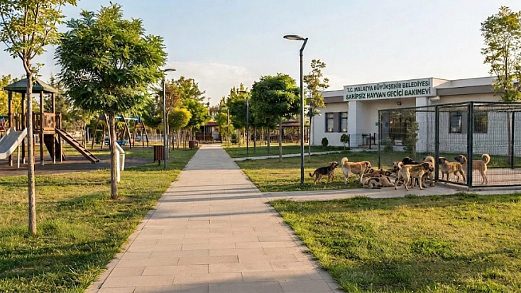 Malatya’da sokak hayvanları sorunu ne zaman bitecek? Bakan Çiftçi tarih verdi!