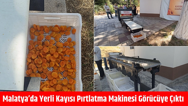 Malatya’da yerli kayısı pırtlatma makinesi görücüye çıktı