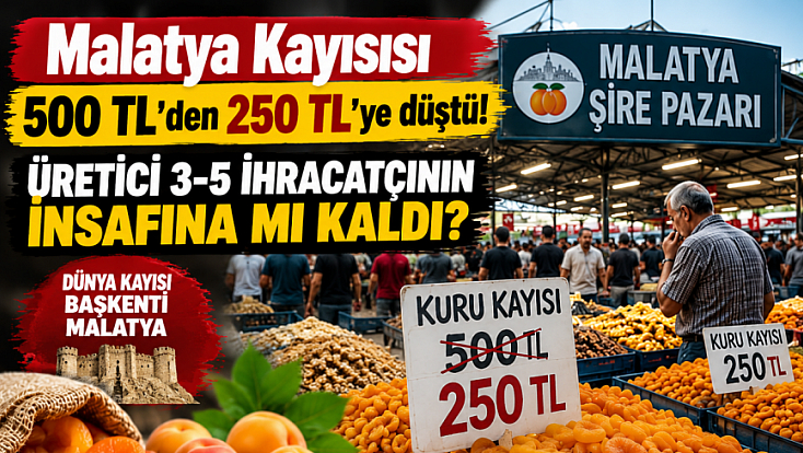 Malatya kayısısı 500 TL'den 250 TL'ye düştü; Üretici 3-5 ihracatçının insafına mı kaldı?