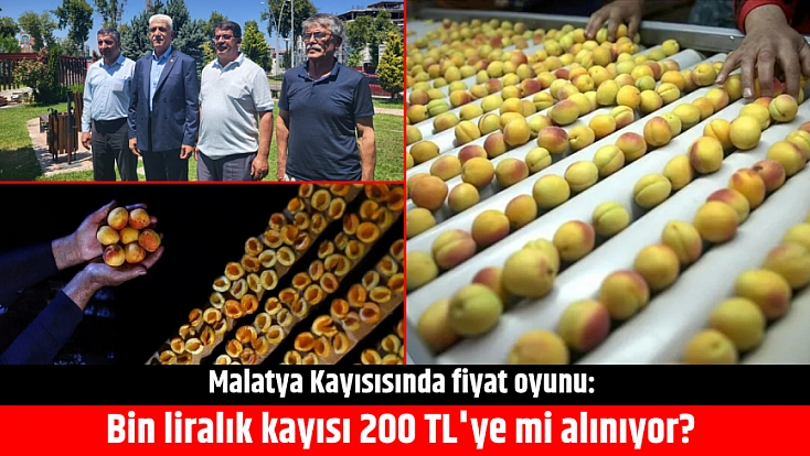 Malatya Kayısısında fiyat oyunu: Bin liralık kayısı 200 TL'ye mi alınıyor?