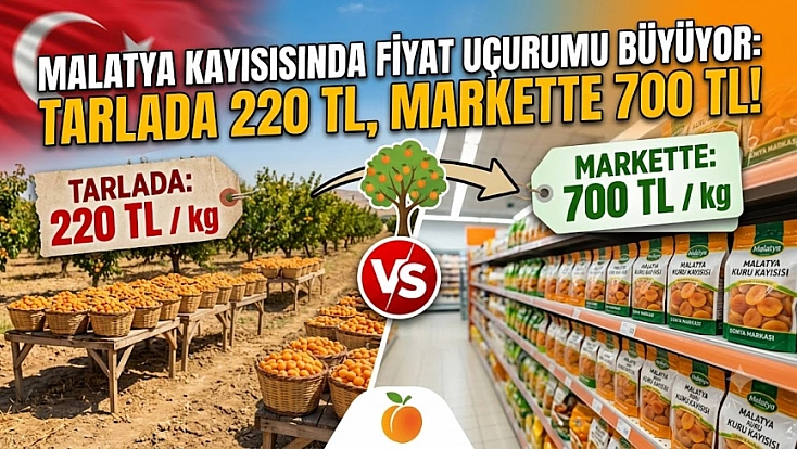 Malatya kayısısında fiyat uçurumu büyüyor: Tarlada 220 TL, markette 700 TL!