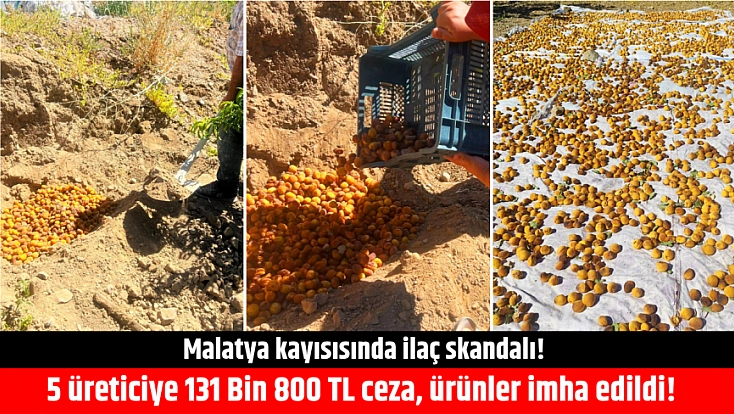 Malatya kayısısında pestisit skandalı! 5 üreticiye 131 Bin 800 TL ceza, ürünler imha edildi!