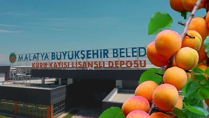 Malatya Kayısısında pestisit tehlikesi sürüyor: Milyonluk depolar kurtarmıyor….