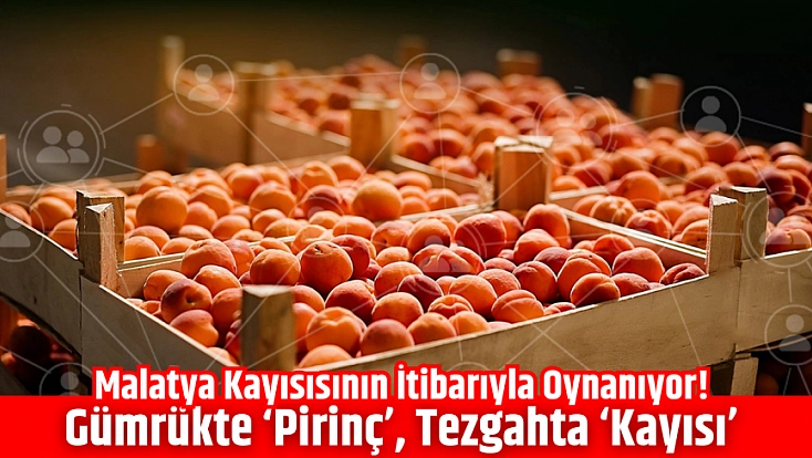 Malatya kayısısının itibarıyla oynanıyor! Gümrükte ‘pirinç’, tezgahta ‘kayısı’