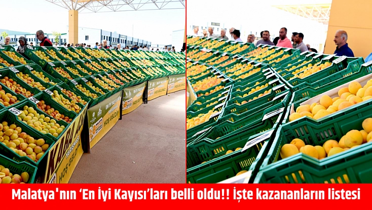 Malatya'nın ‘En İyi Kayısı’ları belli oldu!! İşte kazananların listesi