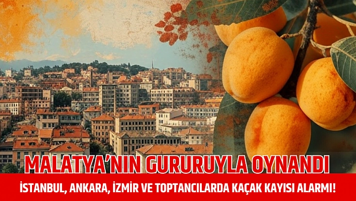 Malatya’nın gururuyla oynandı: İstanbul, Ankara, İzmir ve toptancılarda kaçak kayısı alarmı!