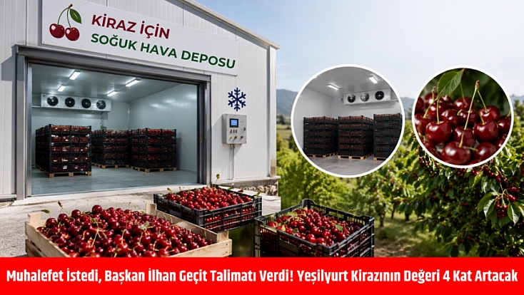 Muhalefet istedi, Başkan İlhan Geçit talimatı verdi! Yeşilyurt kirazının değeri 4 kat artacak