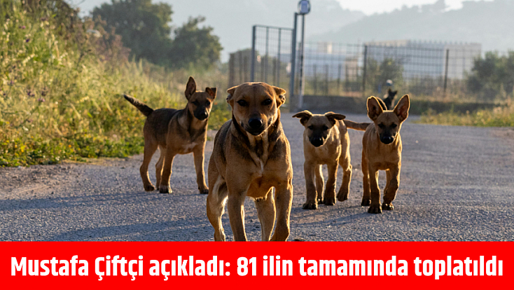 Bakan Çiftçi açıkladı: 81 ilin tamamında toplatıldı