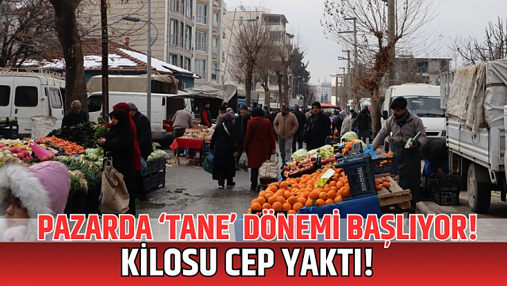 Pazarda ‘tane’ dönemi başlıyor! Kilosu cep yaktı!