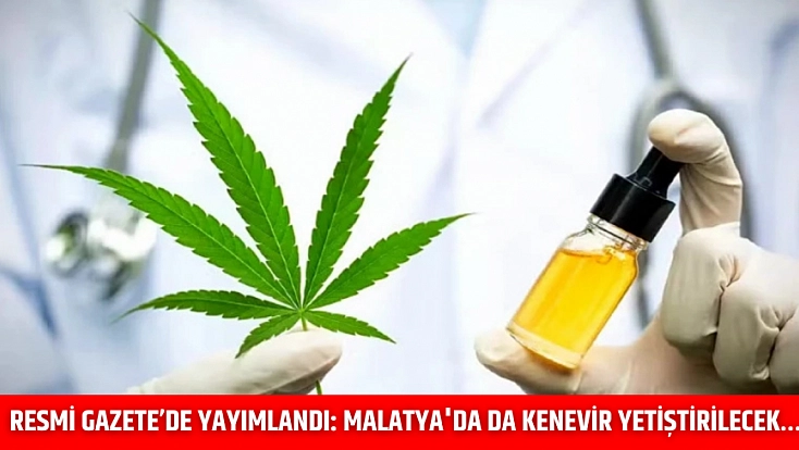 Resmi Gazete’de yayımlandı: Malatya'da da kenevir yetiştirilecek…