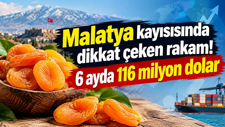TİM Raporu Açıklandı: 6 Aylık Kayısı Rakamları Beklentileri Aştı mı?