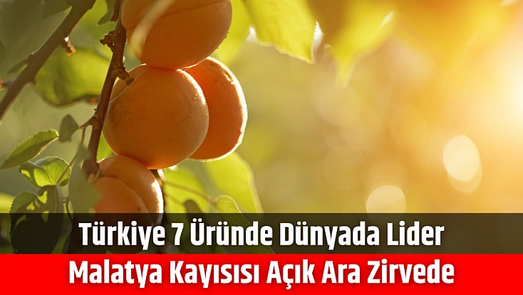Türkiye 7 üründe dünyada lider, Malatya kayısısı açık ara zirvede