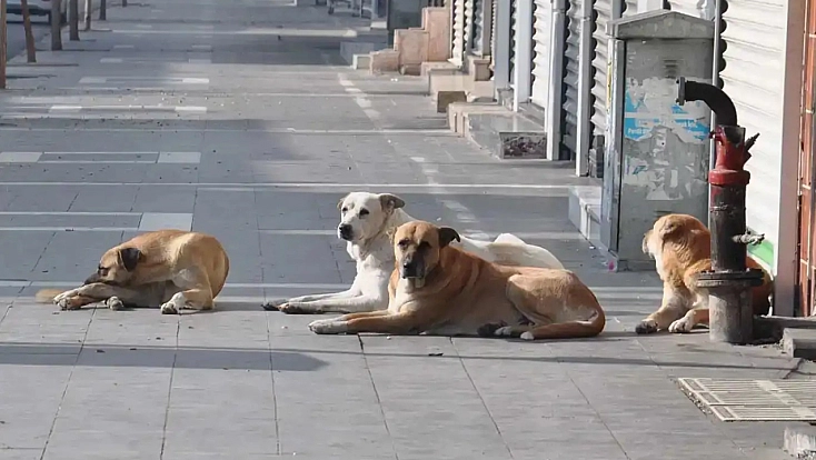 Malatya’da belediyeler Eylül'de denetlenecek
