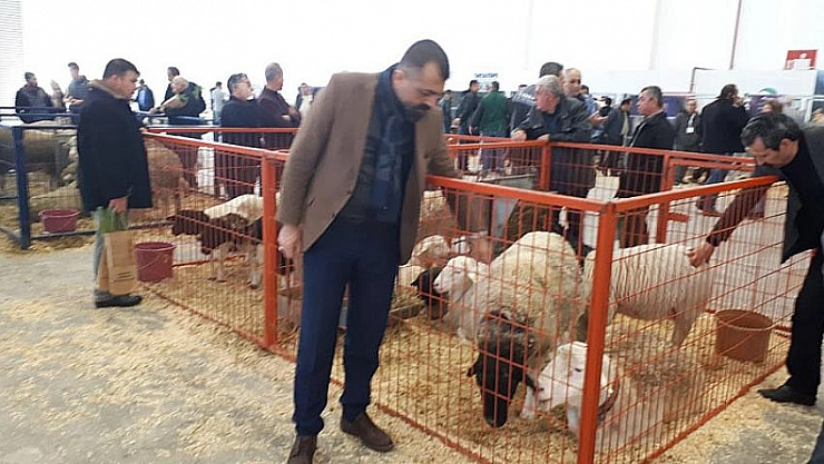 Kayısımızı tanıttık 