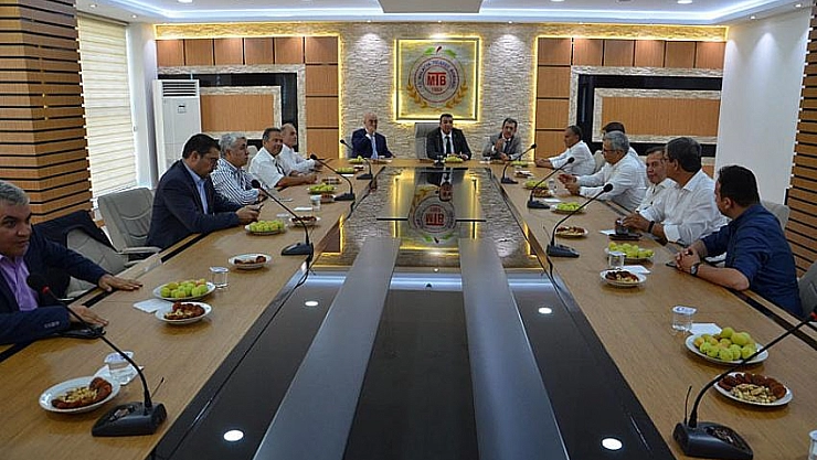 Kayısı masaya yatırıldı