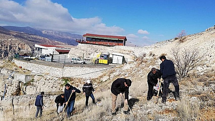 Levent Vadisi'ne meşe palamudu 