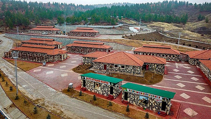 194 başıboş hayvan sahiplenildi 