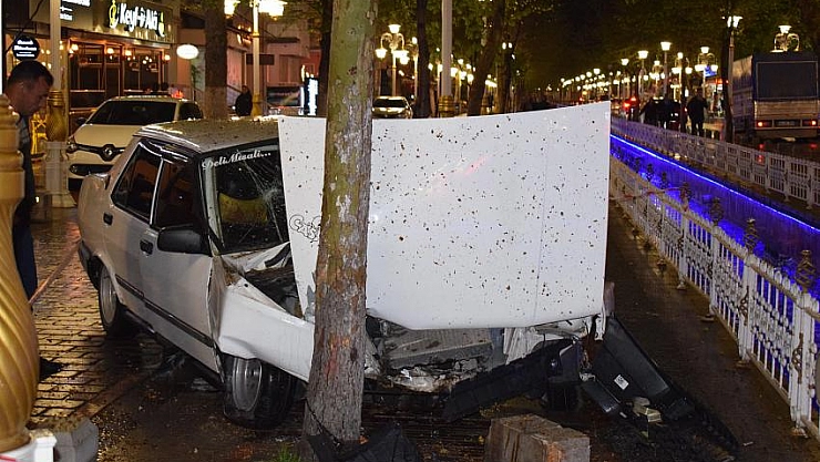 Otomobil ağaca çarptı 