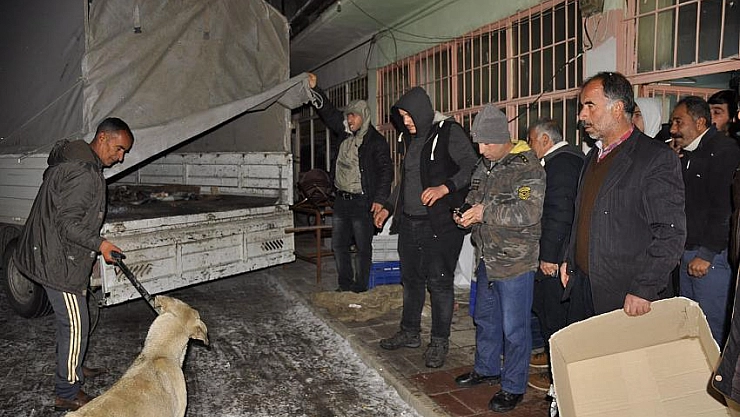 Köpeğe sahip çıktılar