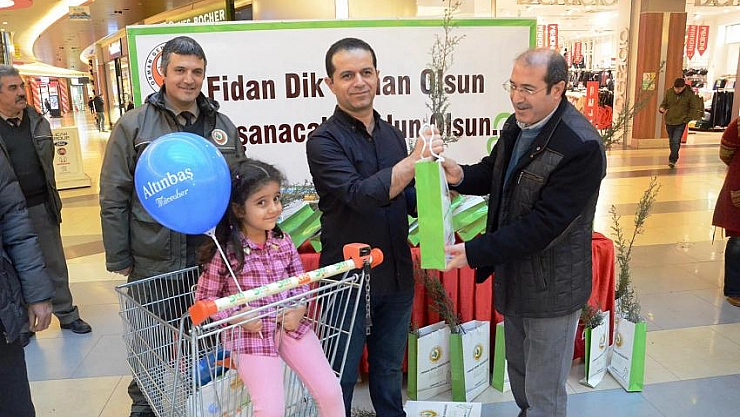 Çam fidanı dağıtıldı 