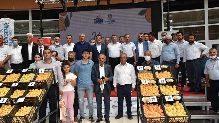 'En iyi yaş kayısı'