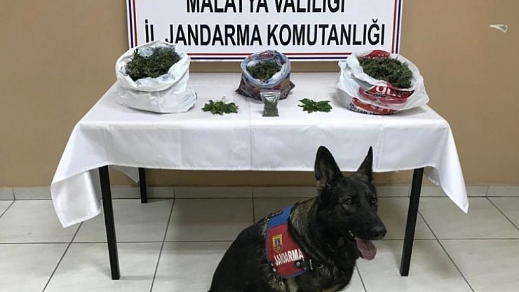 Uyuşturucu tacirlerine geçit yok