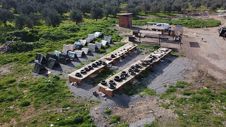 Balıkesir'de köpek maması hırsızları ortaya çıktı