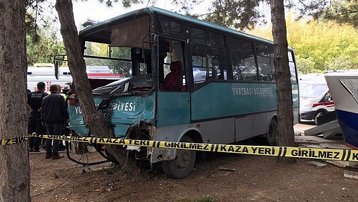 1 ayda 234 kaza