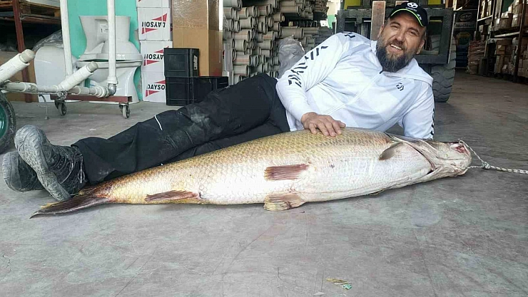 Karakaya Barajı'nda rekor av: 1 metre 60 santimlik dev turna