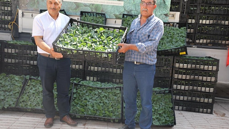 101 bin adet fide dağıtıldı