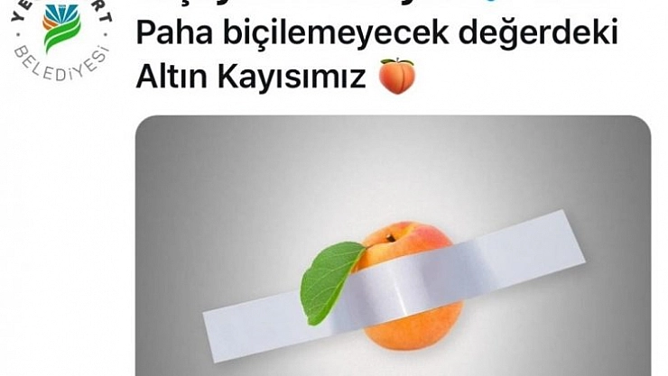 Muza kayısılı gönderme