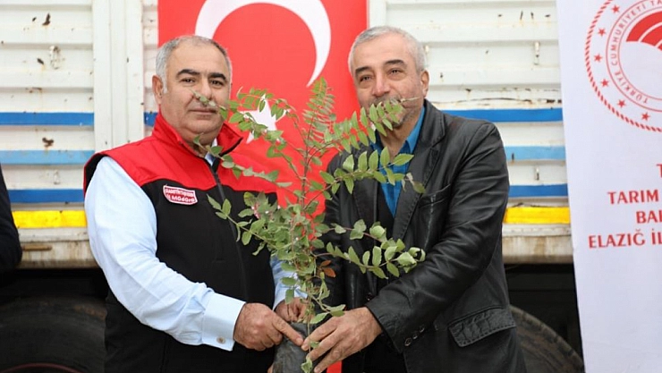 13 üreticiye 7 bin 311 sumak fidesi dağıtıldı