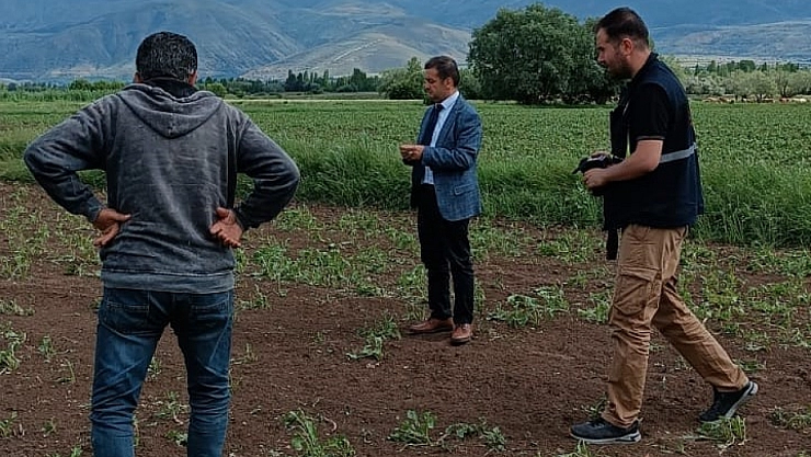 2 bin dönüm araziyi dolu vurdu