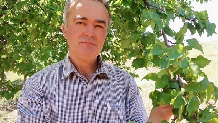 Kayısı rekoltesine itirazlar sürüyor