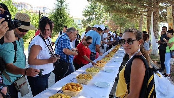 Akademisyenler Kayısı Araştırma'da
