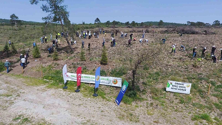 Balıkesir'de 30 bin fidan toprakla buluştu